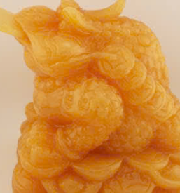 thiềm thừ 02