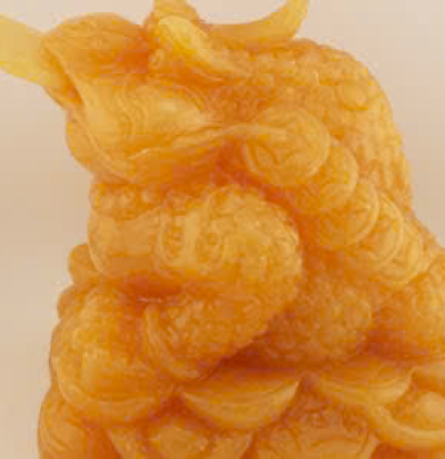 thiềm thừ 02